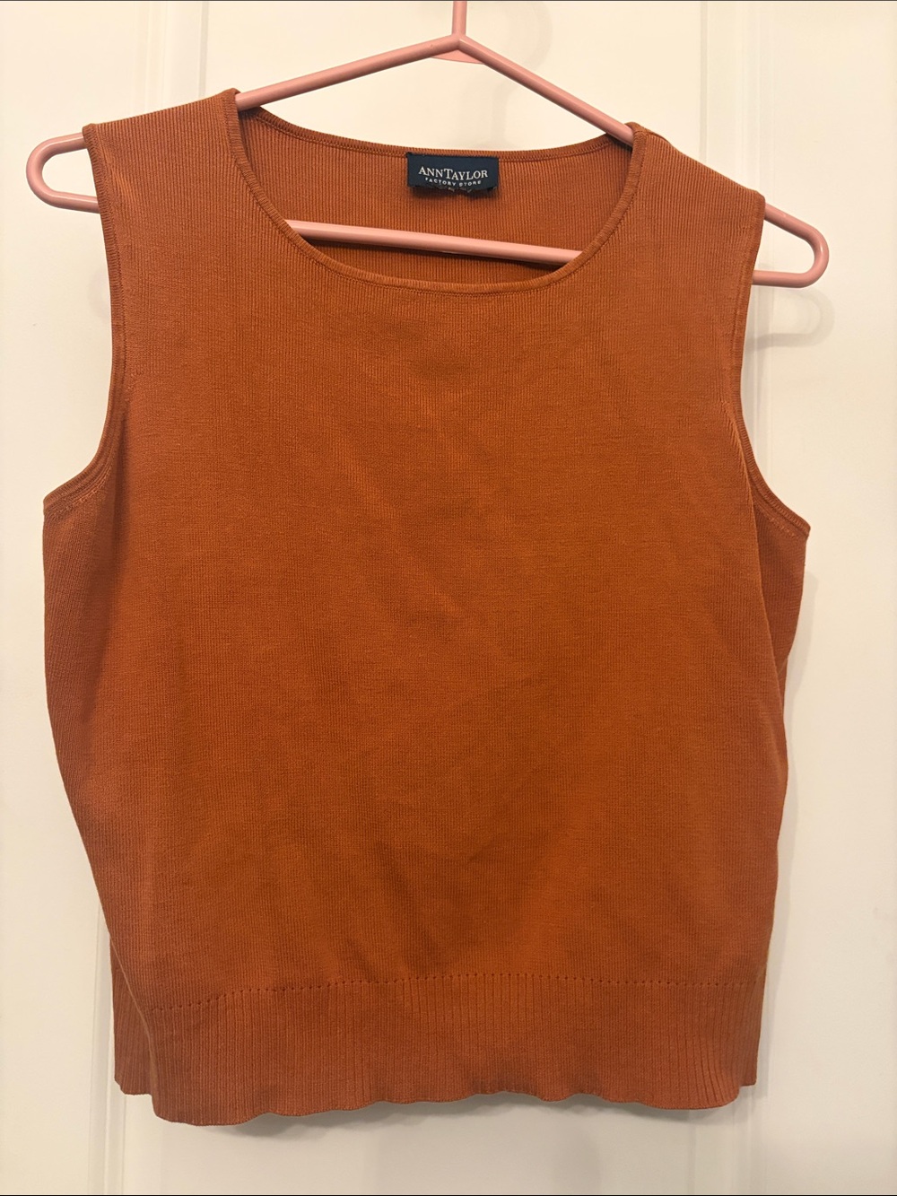 Ann Taylor Sleeveless Knit Tank in Burnt Orange